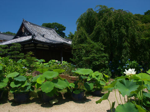 前にも写したばっかりだった