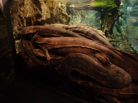 落ち着くのか？