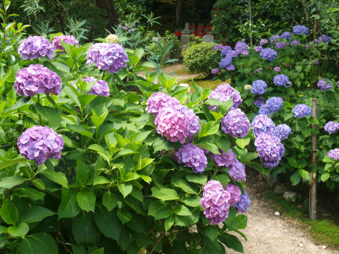 地蔵をバックに