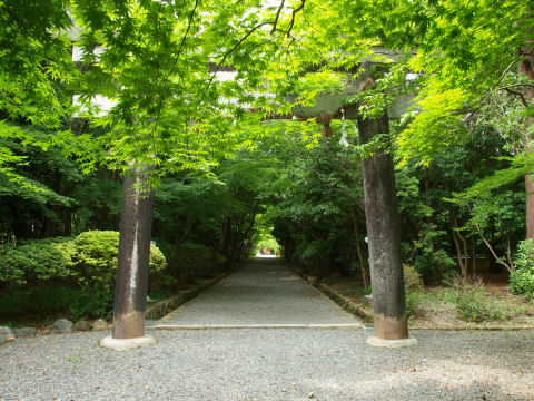 人はいなくはなかった