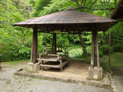 いつもは使ってるのだろうか