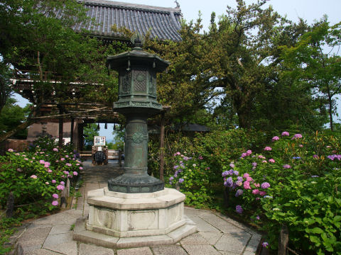 坂道きつかったー