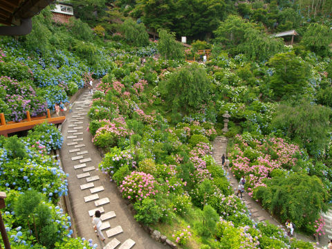 人もけっこうきてる