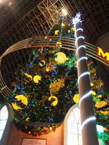 三脚を使わずに撮ったもの