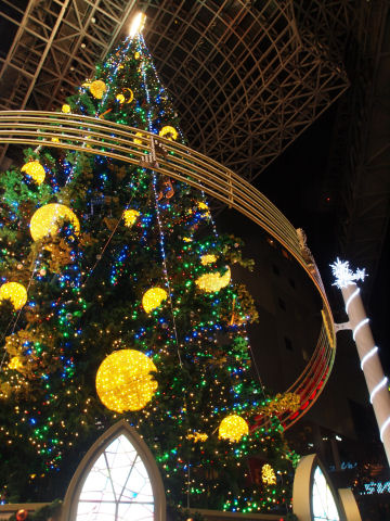 三脚しまったあとだったので