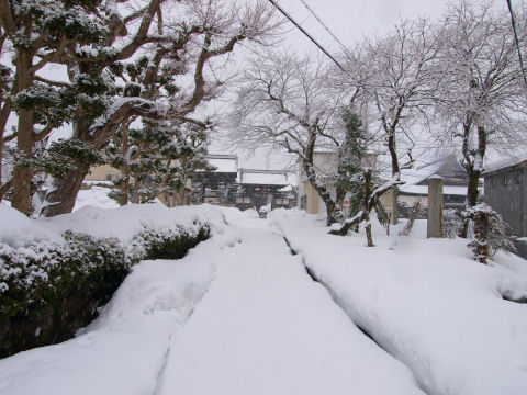 雪に埋もれた道 もちろんこのあと踏み入れる