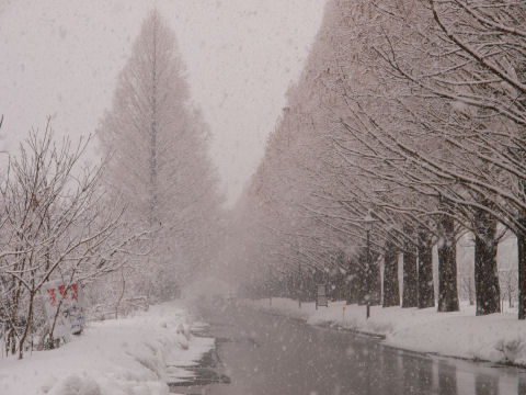 視界かなり悪し