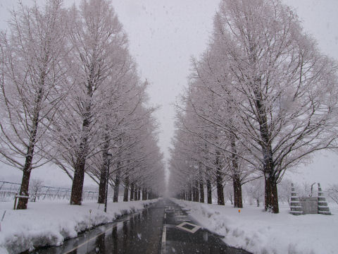 ちょっとひいて説明の碑ありで