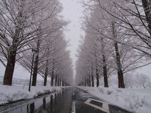 まあさほど移動は大変でもなかったけど