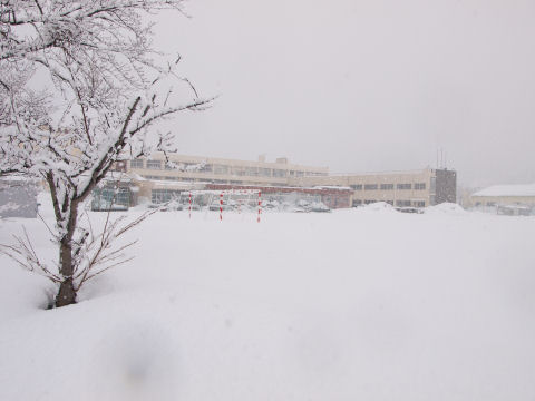 サッカーゴールの赤が映える