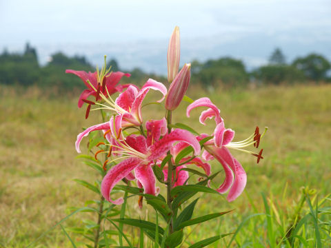 あまり後ろはボカしたくなかったが・・・