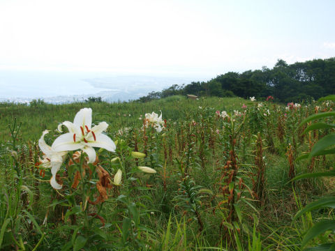 ガスってなかったらすばらしいんだけど