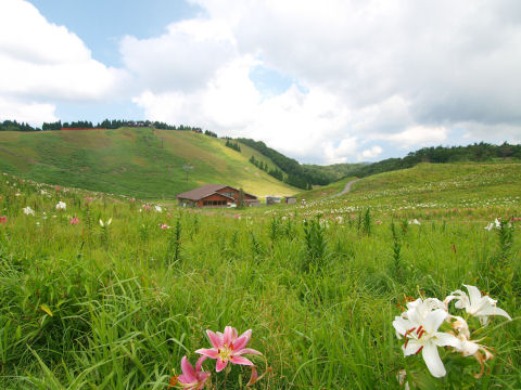 冬はスキー小屋に