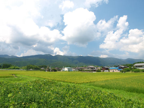 民家もいい感じ