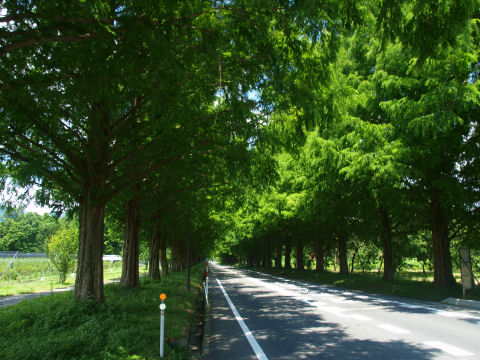 ずっと続いてる