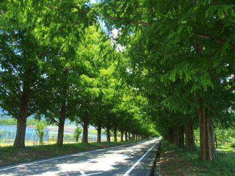 次は枯葉の頃か？