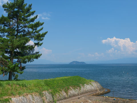 樹をうまく入れたつもり