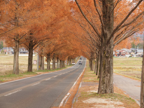 ジャマ・・・なのはお互い様か
