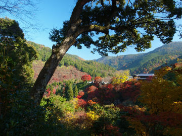 硯石近くからの眺望