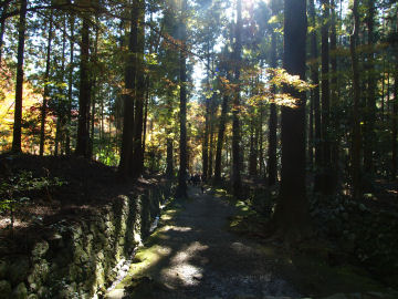 境内の大半はこんな感じ
