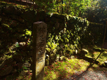 いい感じの侘しさ