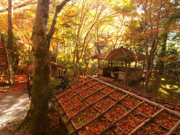 出口(入口)付近