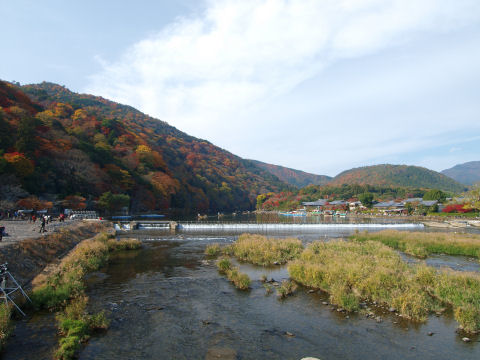 カビみたいにカラフルな山
