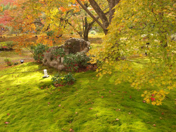 でっかい岩がゴロゴロ