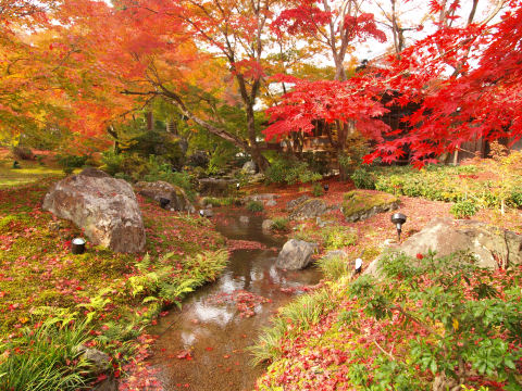 この光景もお馴染み