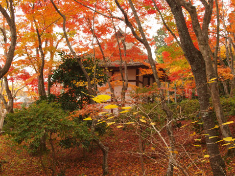 仁王門を横から