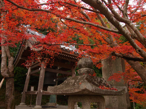 鐘と燈籠と紅葉
