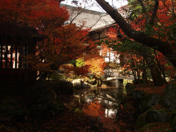 弁財天近くより 暗い