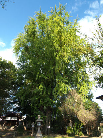 ここまで青いとは思ってなかった