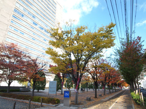 京セラ前は暗かった