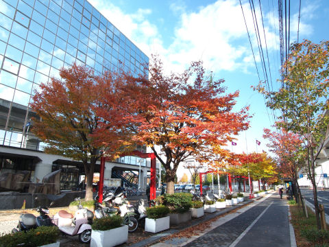 その隣は明るかった