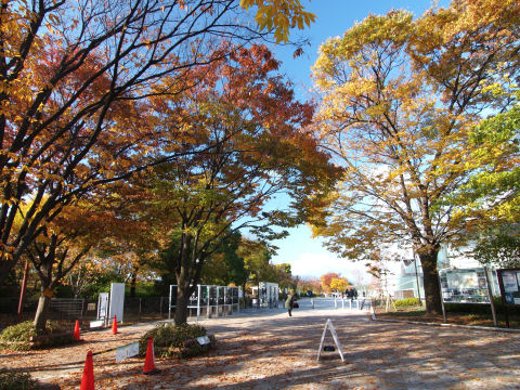公園の中もいい感じだったかもしれない