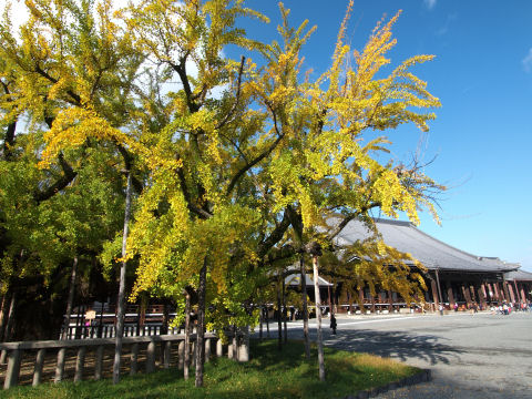 建物をちょっと入れて