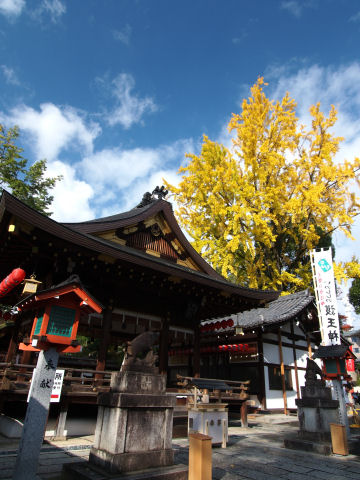 順光だと建物越し