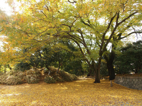 出水口入ってすぐ