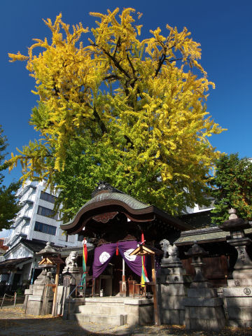 ビルが見えなかったらなおよし