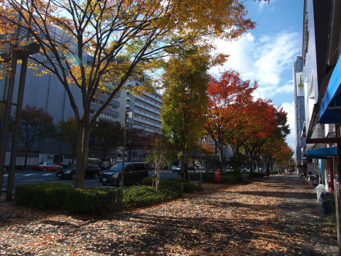 水着買いにいったんだけど売ってなかった