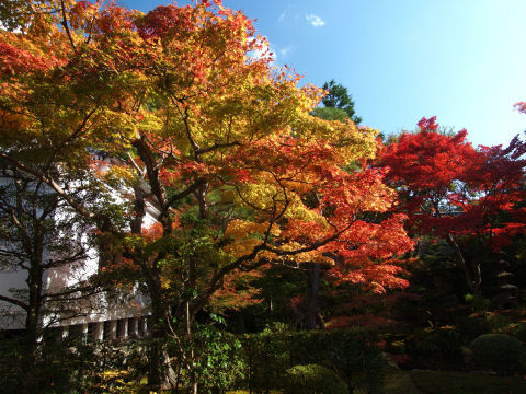 こっち側は順光