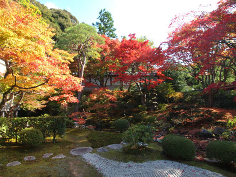 庭園の半分くらいは逆光になる
