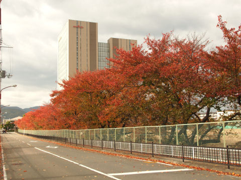 まあ曇ってなければまだ帰って来なかったかもしれん