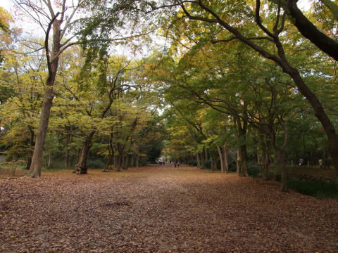 河合神社の隣から