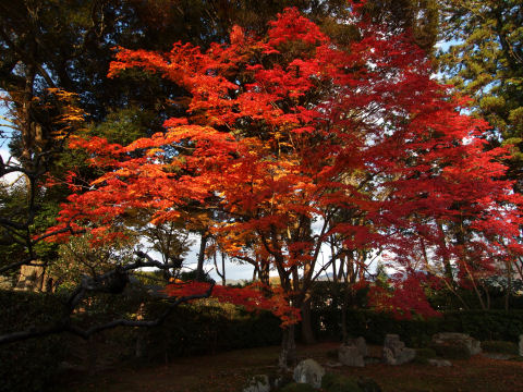 1本だけあってもイマイチかも