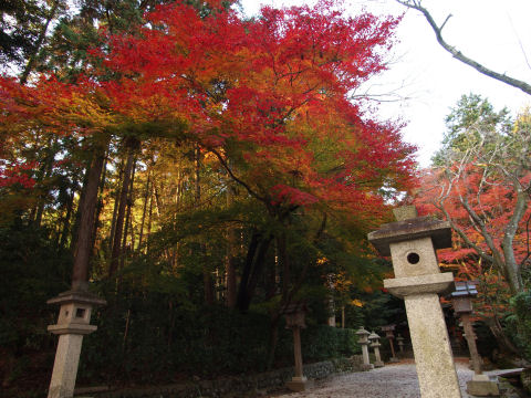 日が届かないのがザンネン