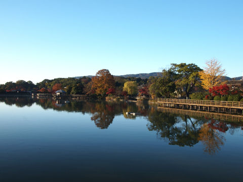 いい天気でなにより