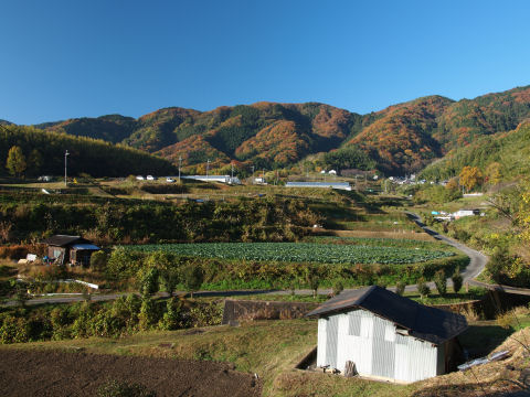 棚田が合ったとは