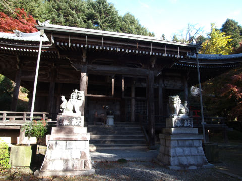 紅葉とは関係ない